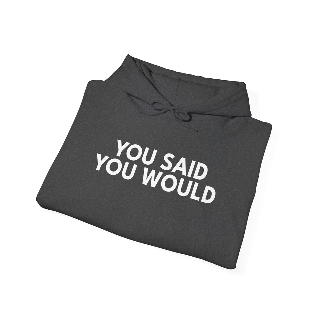 You Said You Would Hoodie | Motivation, Discipline & Self-Improvement